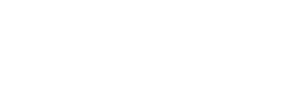 Logo XLKey